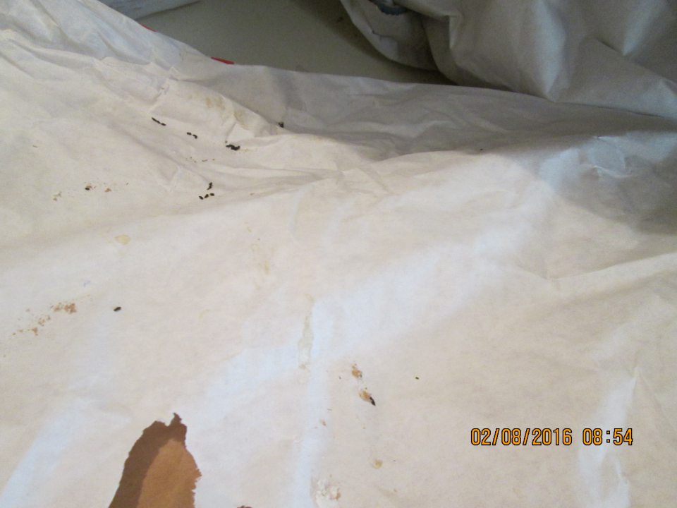 V skladovacích priestoroch prevádzky, určených na uskladnenie surovín výskyt trusu hlodavcov.