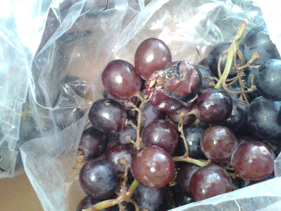 Predaj potraviny nevhodnej na ľudskú spotrebu.