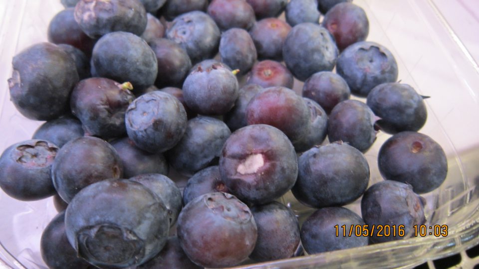  Čučoriedky - výskyt plesne v každom balení.