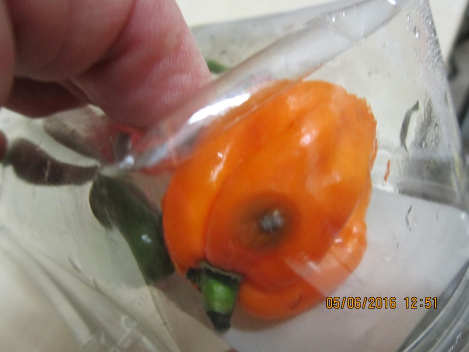 Predaj zeleniny nevhodnej na ľudskú spotrebu s výskytom hniloby.