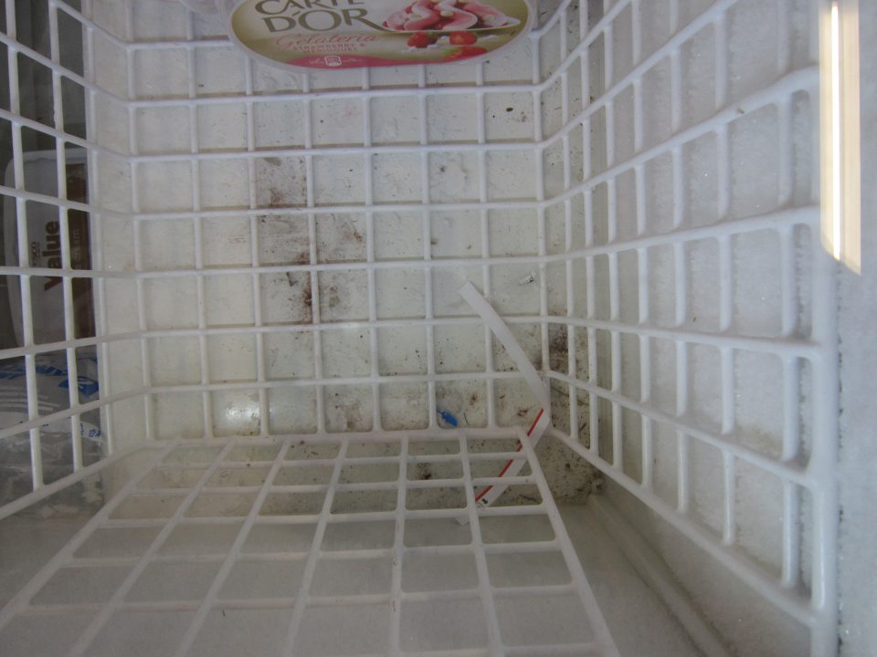 Mraziarenské zariadenie na predajnej ploche znečistené hrubou nečistotou, drobnými kúsočkami papiera a obalového materiálu.