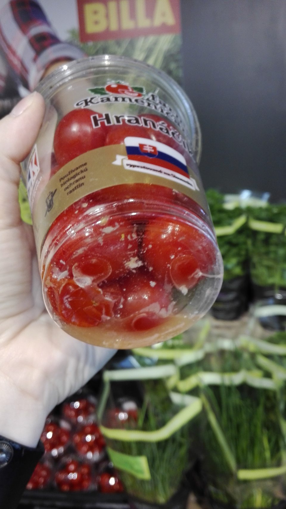 Rajčiaky cherry nevhodné na ľudskú spotrebu z dôvodu hniloby a plesne.