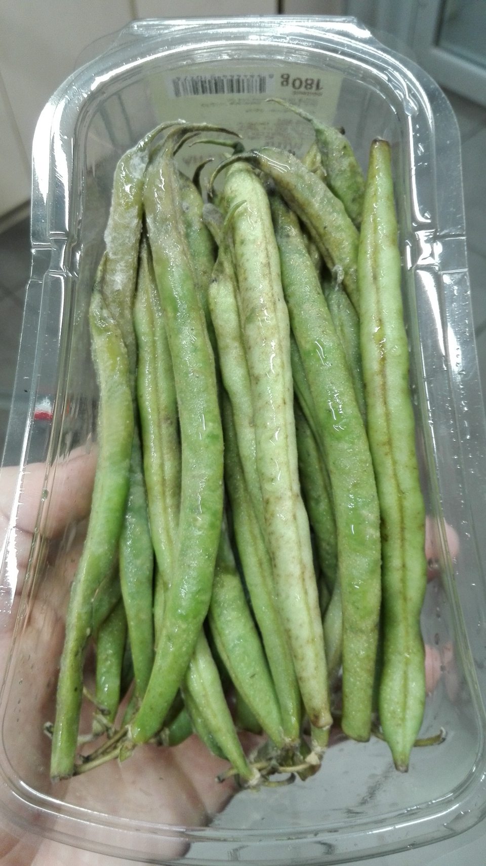 Fazuľka zelená nevhodná na ľudskú spotrebu z dôvodu hniloby a plesne.