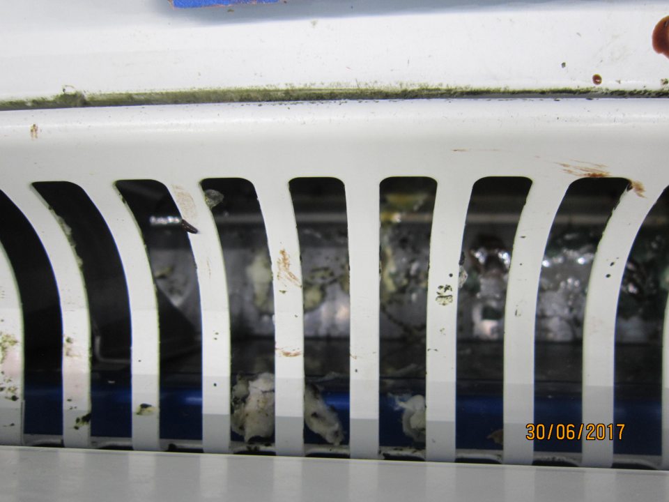 V prevádzke pod mriežkou chladiacej vitríny porast plesne.