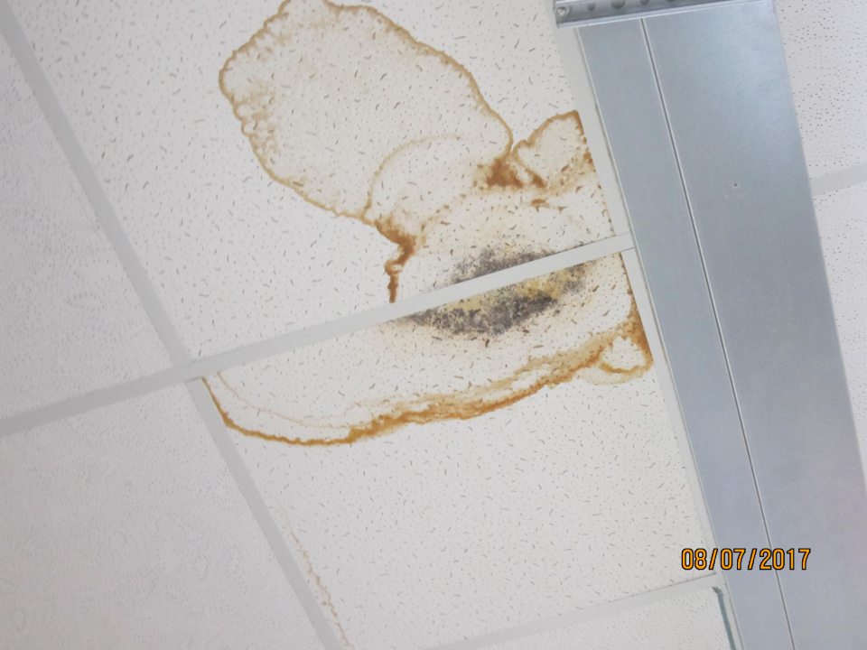 V prevádzke poškodené a zatečené stropné kazety s porastom plesne.