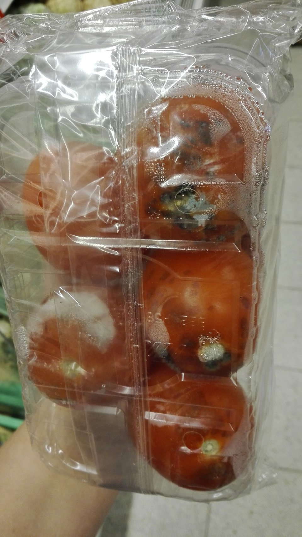 Rajčiaky Plum - nevhodné na ľudskú spotrebu z dôvodu výskytu plesne.