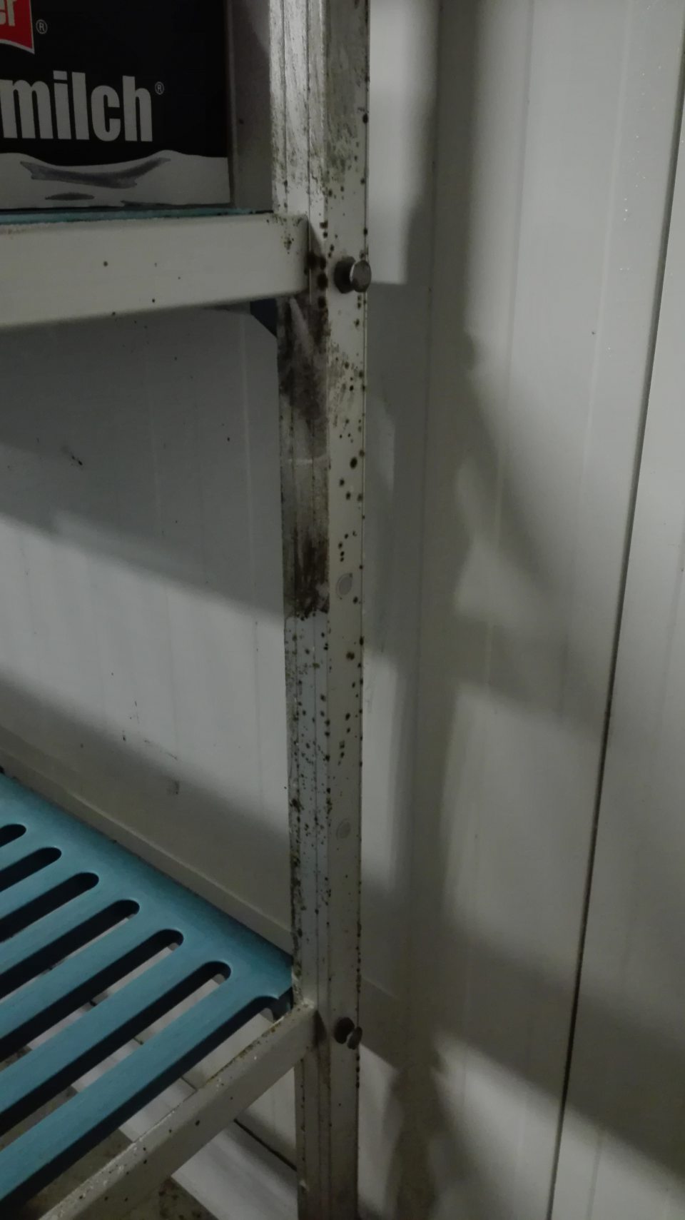 V chladiacom boxe pre mliečne a mäsové výrobky znečistené police a konštrukcie regálov s výskytom plesne.