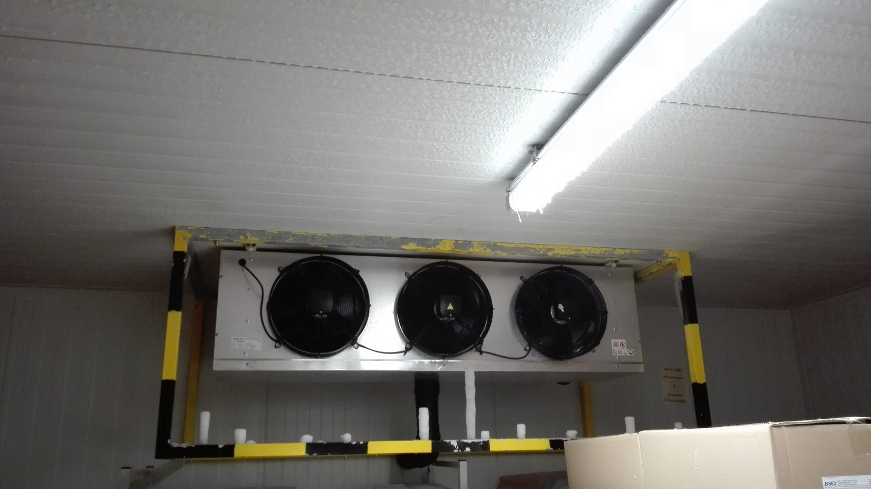 V mraziarni dopekárne prevádzky námraza na strope a svietidle.