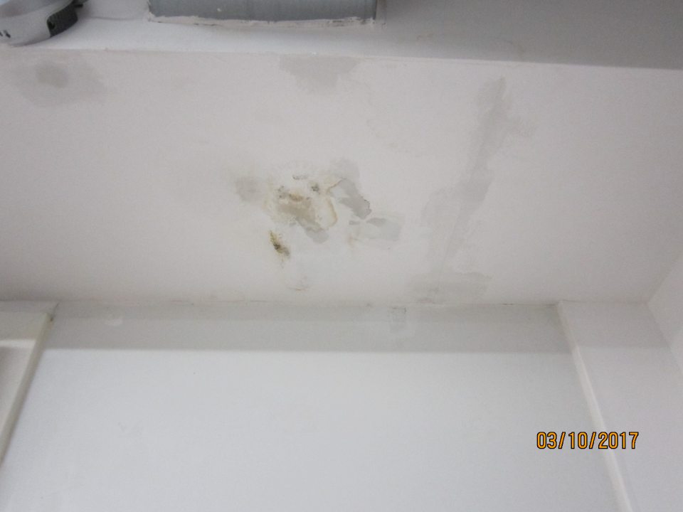 Strop v zázemí prevádzkarne zatečený, s porastom plesne.