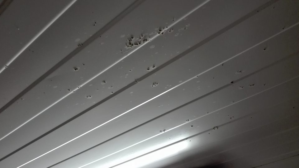 Znečistený strop chladeného skladu s výskytom plesne.