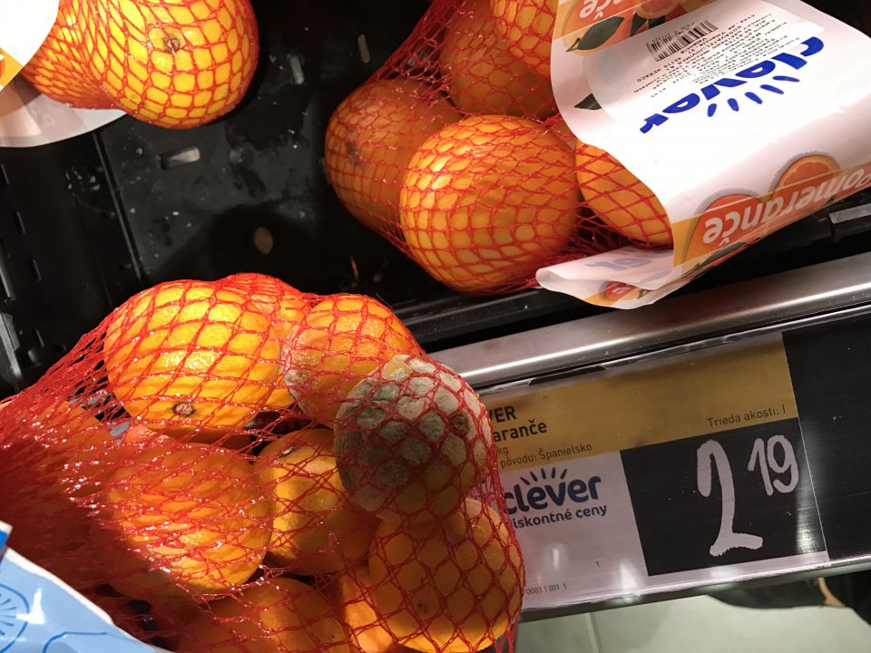 Mandarinky nevhodné na ľudskú spotrebu z dôvodu výskytu plesne.