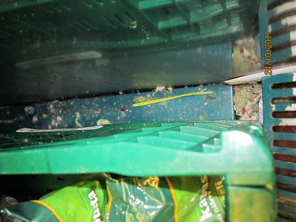 V predajni znečistená chladiaca vitrína na uchovávanie ovocia a zeleniny.