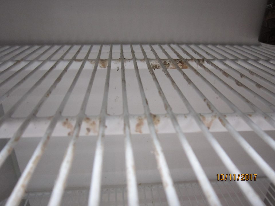 V prevádzke chladiaca vitrína na nealko nápoje znečistená plesňou.