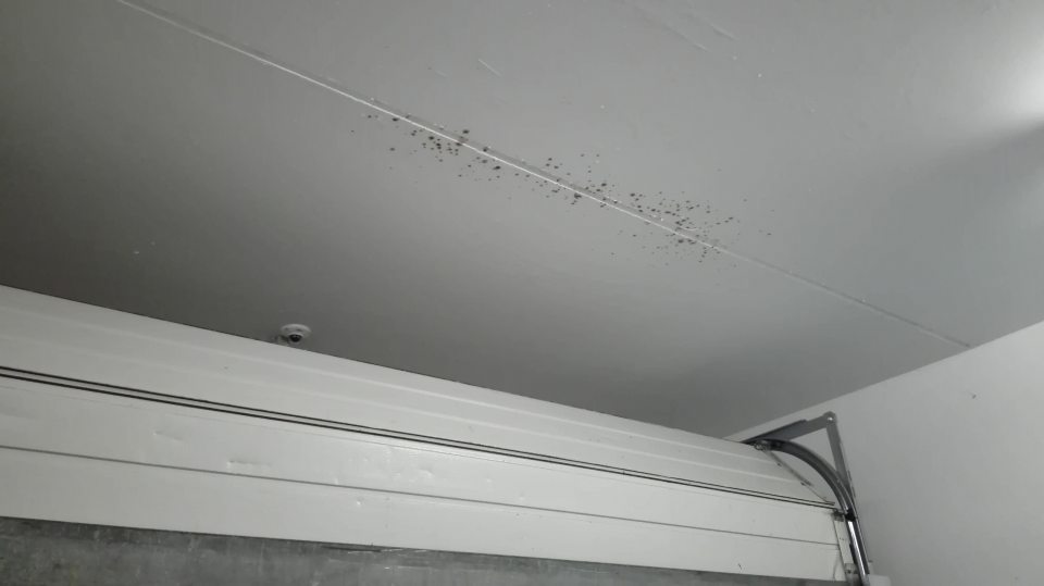 V prevádzke nad chladiacim zariadením strop s výskytom plesne.