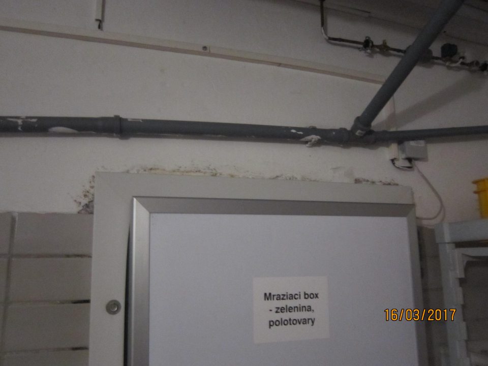 Porast plesne na stene chladiaceho boxu na mliečne výrobky.