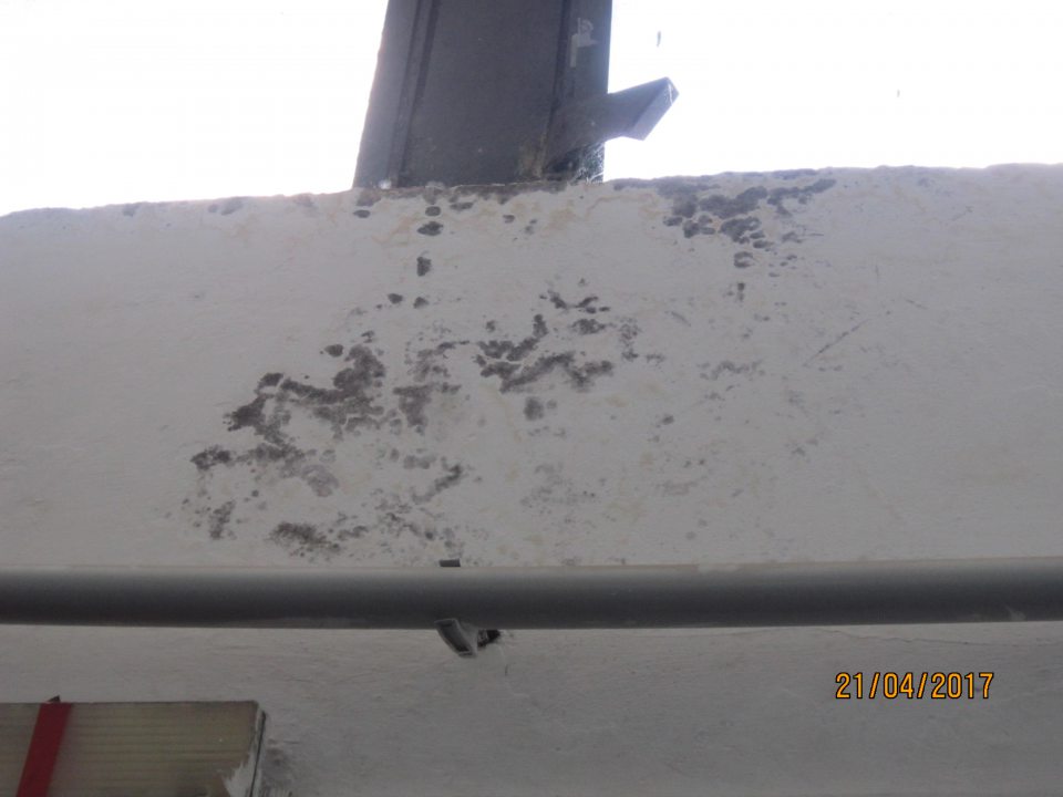 Stena nad príjmovými dverami s porastom plesne.