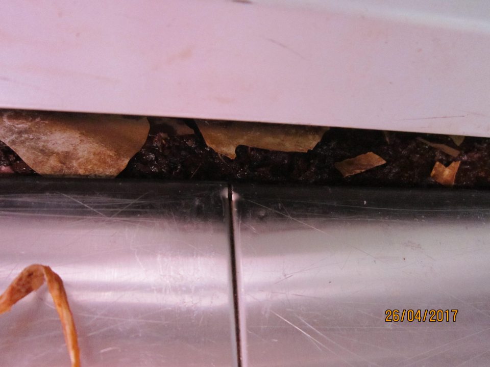 Predajný chladiaci pult skorodovaný, poškodený