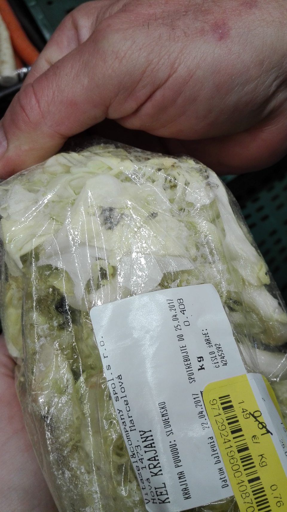 Kel hlávkový krájaný nevhodný na ľudskú spotrebu z dôvodu výskytu plesne.