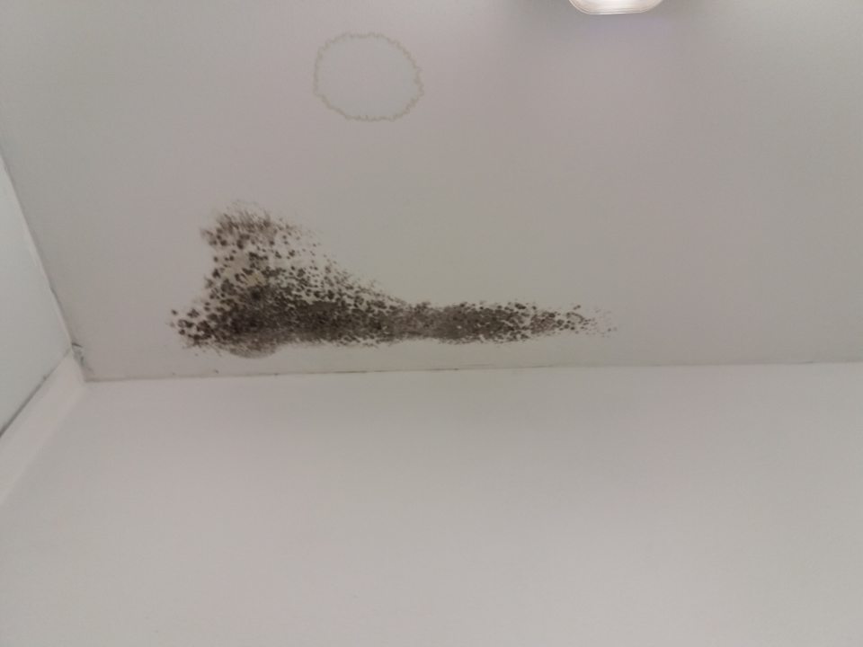 V prípravovni lahôdok a šalátov pleseň na strope.