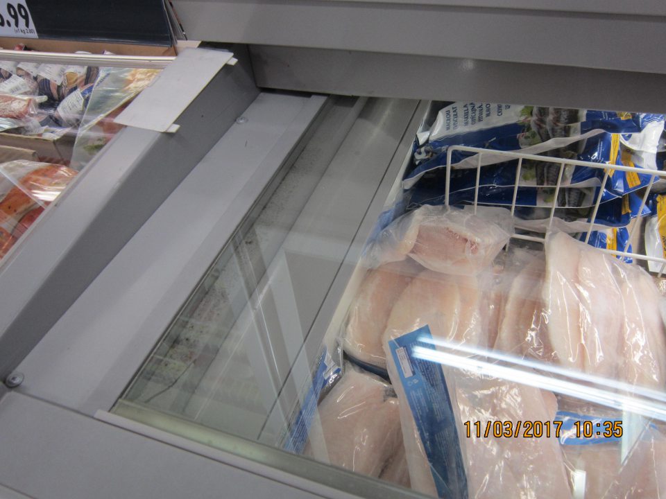 Výskyt plesne v mraziacom boxe rýb.