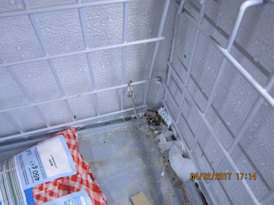 V mraziacej vani rozsypaná mrazená zelenina.