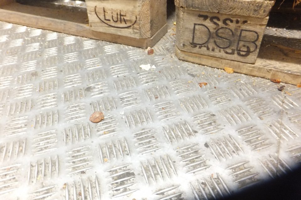 V skladových priestoroch prevádzky v mraziacom boxe znečistená podlaha.