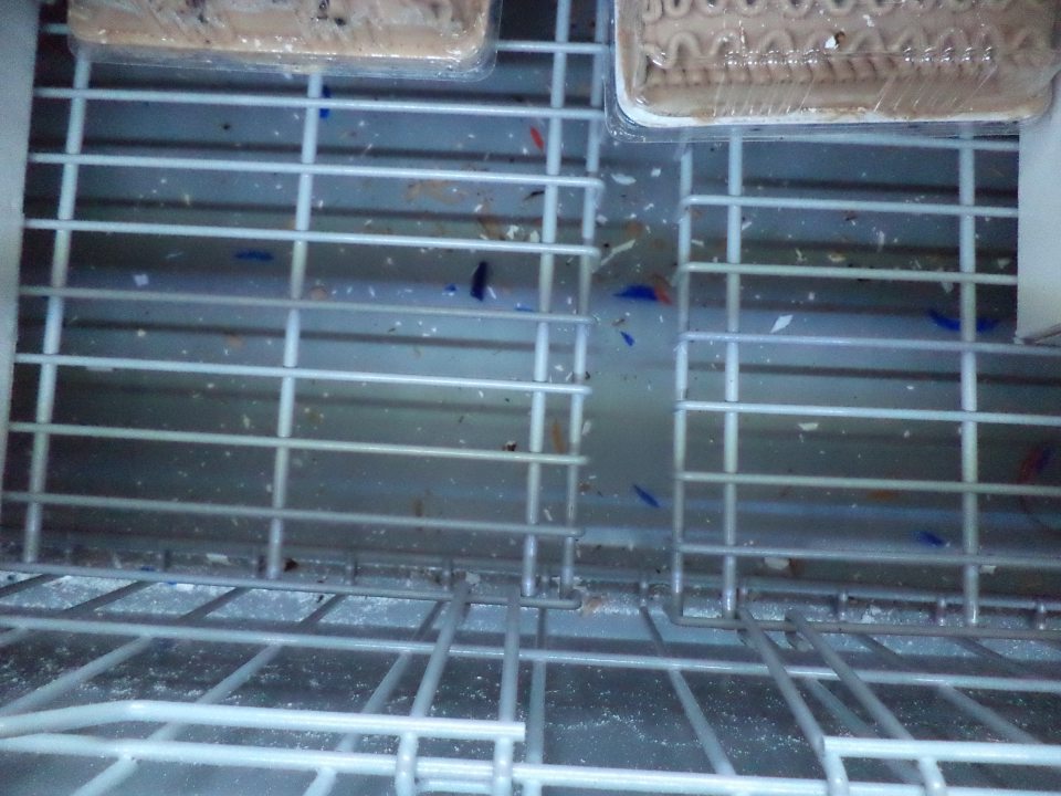 Znečistený mraziaci box na predajni, zvyšky kartónov a iných nečistôt