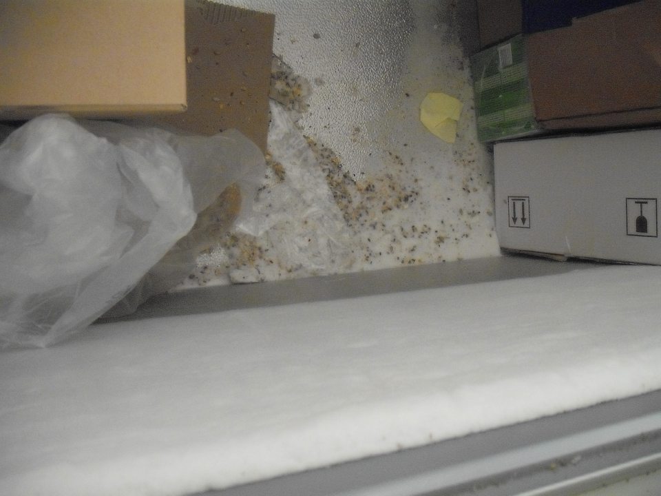 V mraziacom zariadení v sklade potravín nahromadená námraza, zvyšky potravín.