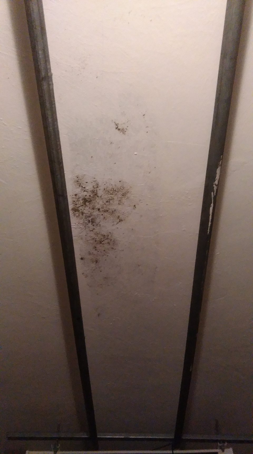 V chladiacom boxe prevádzky znečistený strop.