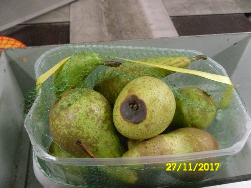 Predaj ovocia nevhodného na ľudskú spotrebu z dôvodu výskytu hniloby, plesne a rozbredlej konzistencie.