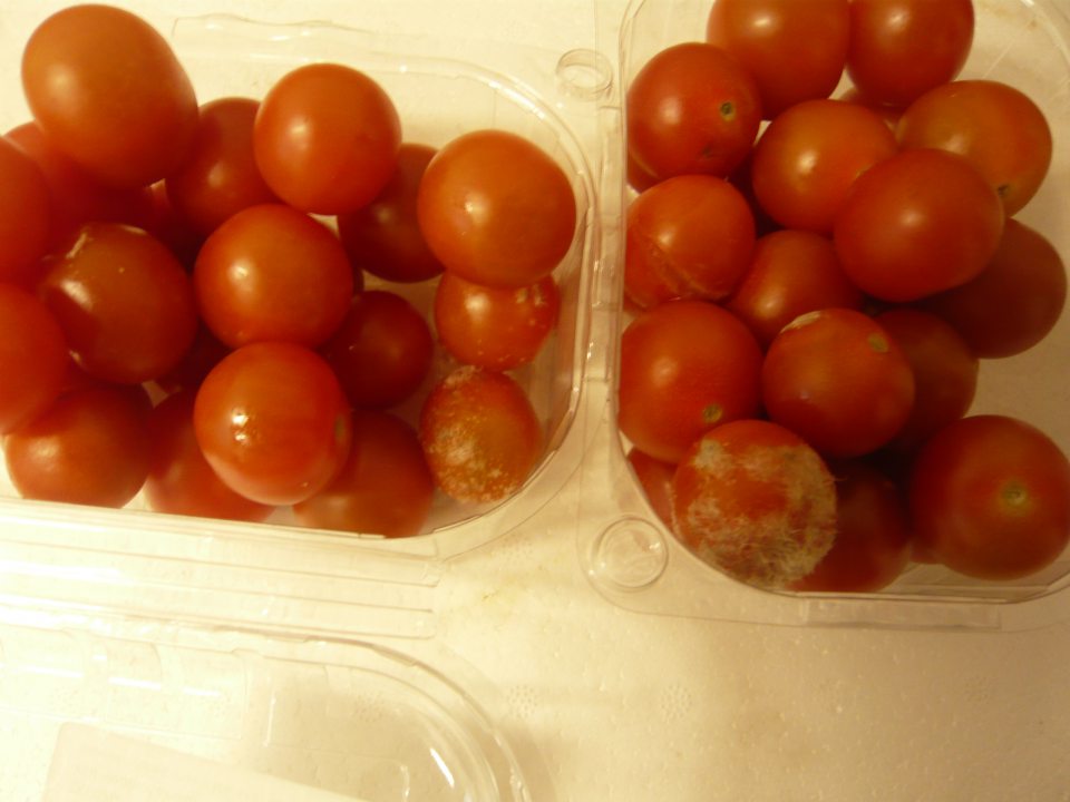 Umiestňovanie na trh druh čerstvej zeleniny nevhodnej na ľudskú spotrebu