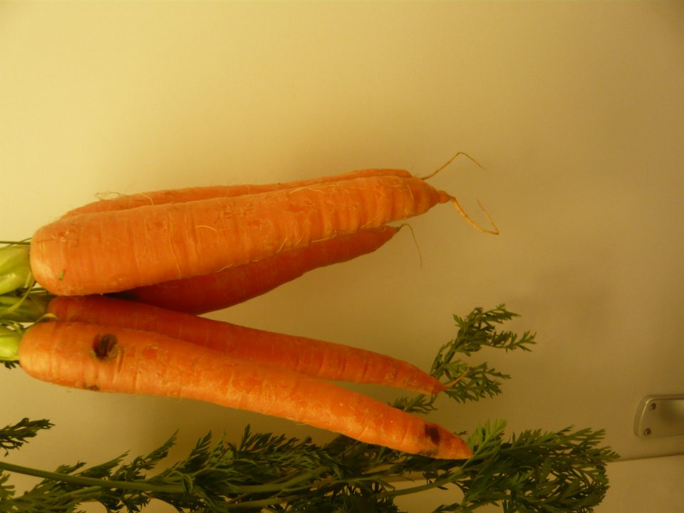 Umiestňovanie na trh druh čerstvej zeleniny nevhodnej na ľudskú spotrebu.