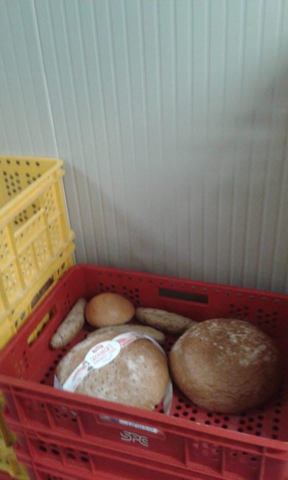 V zázemí predajne  vyradené pekárske výrobky skladované v nekrytých prepravkách.