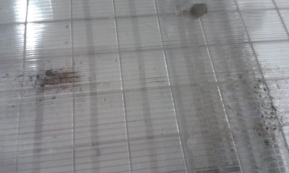 V prevádzke zaprášená klietka na skladovanie pečiva.