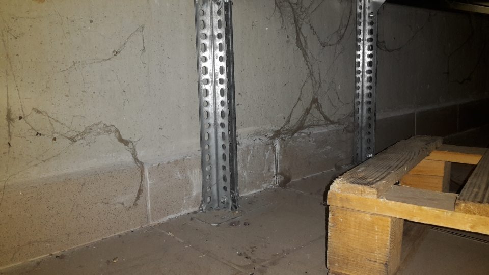 V suchom sklade prevádzky výskyt pavučín.