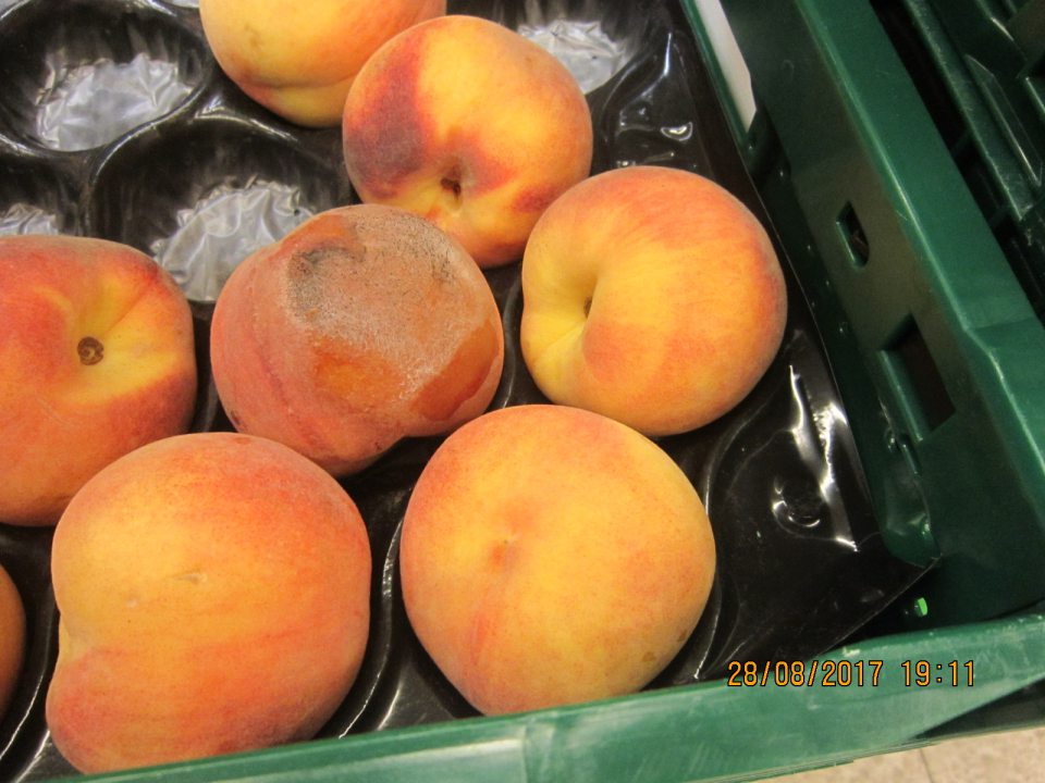 Predaj ovocia nevhodného na ľudskú spotrebu z dôvodu napadnutia plesňou.