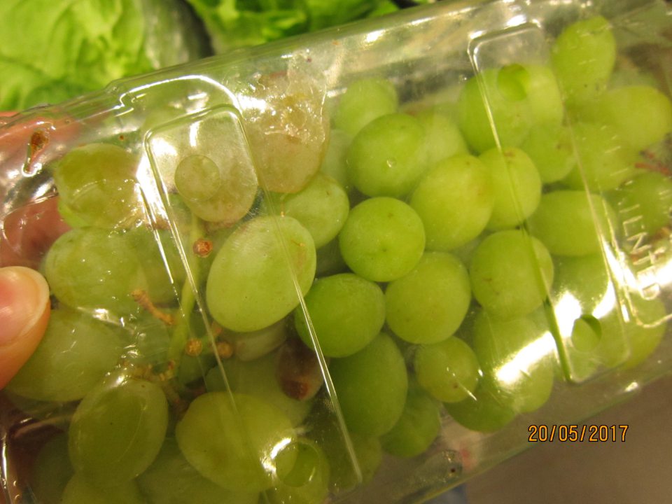 Predaj ovocia hrozno biele nevhodné na ľudskú spotrebu, plody napadnuté hnilobou.