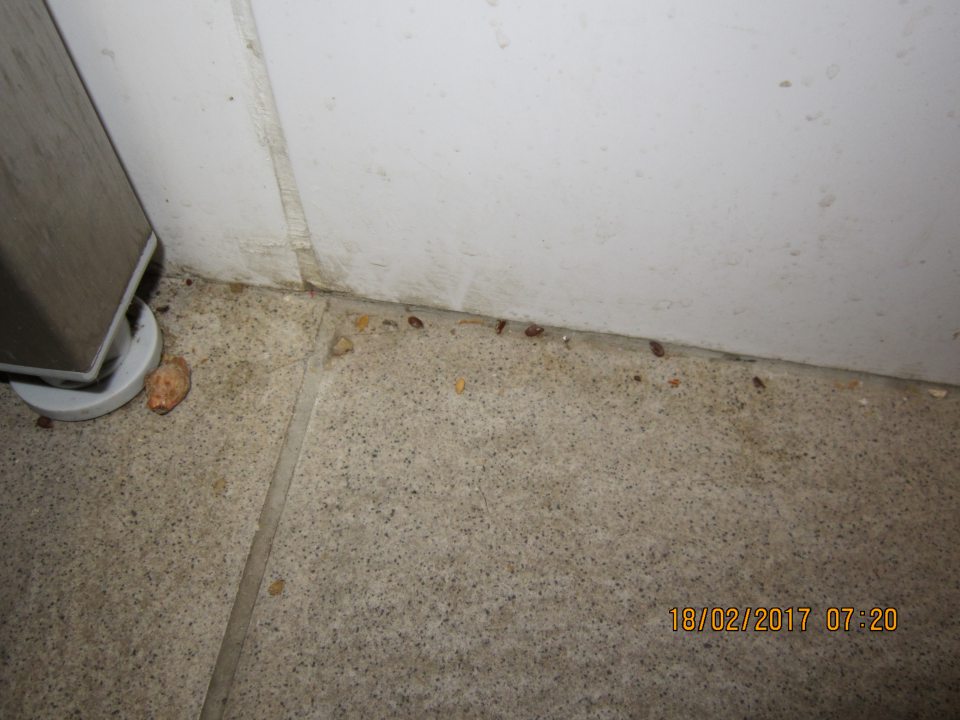 V prevádzke stavebné nedostatky  spojenia stien s podlahou.