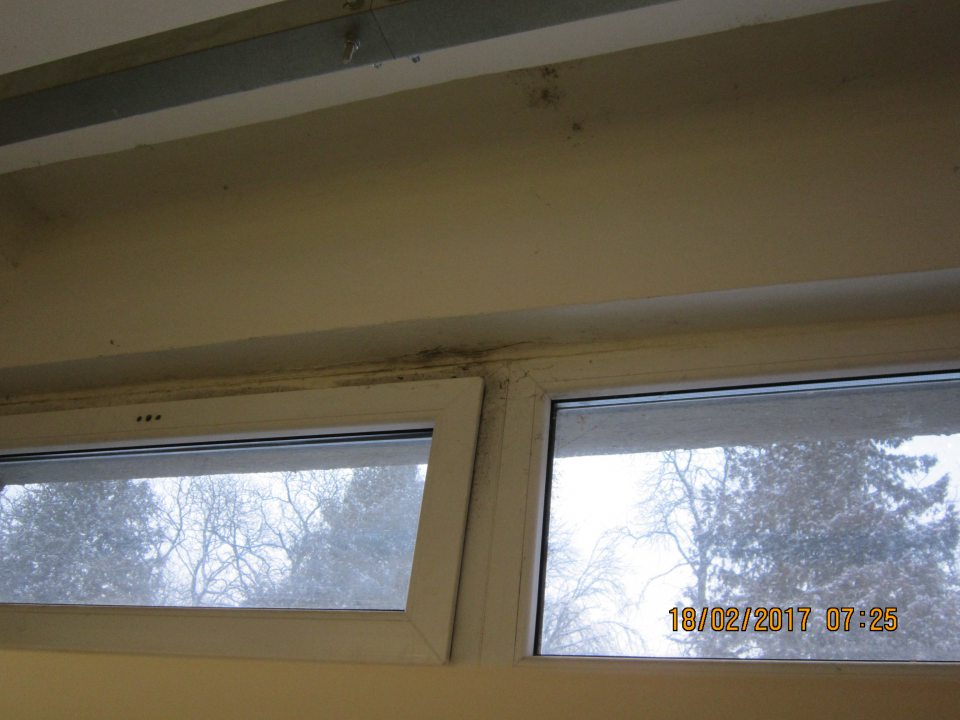 Na okenných rámoch a stene nad chladiarenskými vitrínami v prevádzke výskyt plesne. 