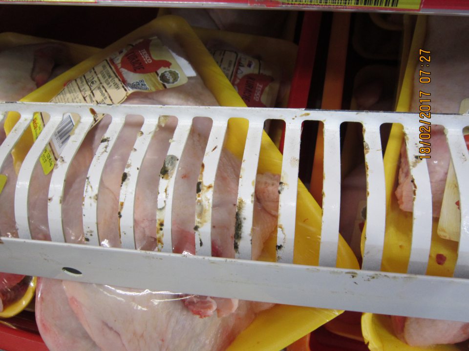 V predajni chladiarenská vitrína s výskytom plesne.