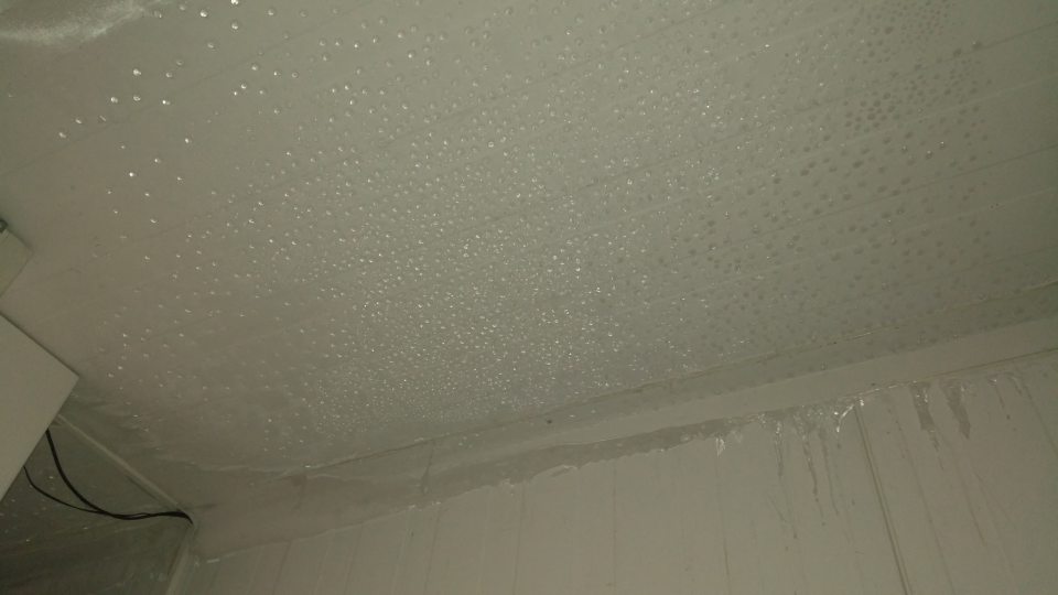 Namrznutý ľadový povlak na strope v mraziaco boxe