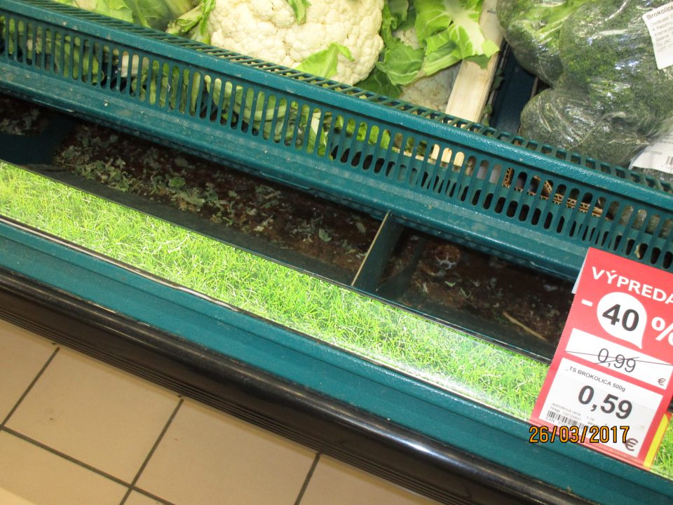 Regál na vystavovanie zeleniny znečistený a skorodovaný.