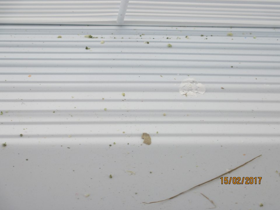 V prevádzke znečistená mraziaca vitrína.