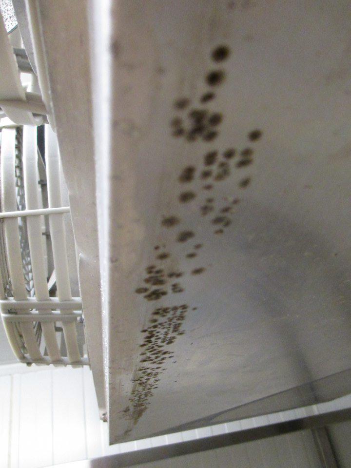 V prevádzke na chladiacom agregáte zistený výskyt plesní. 