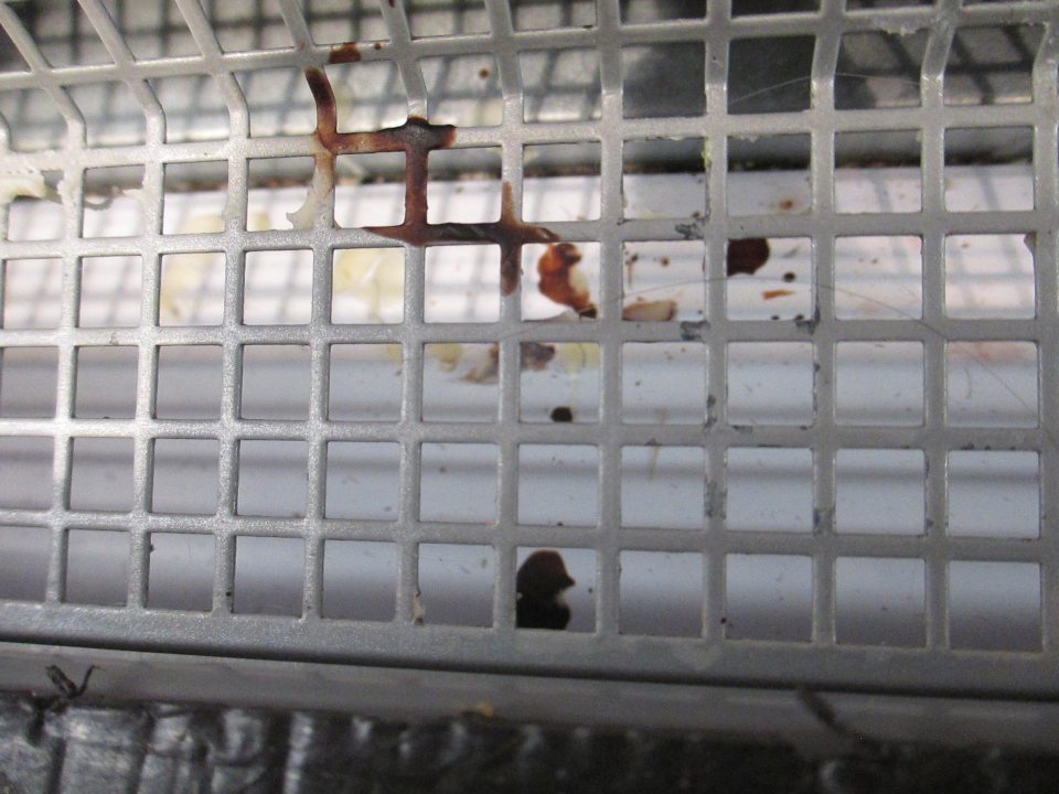 V prevádzke v chladiace zariadenie znečistené vytečenými potravinami prachom a špinou.