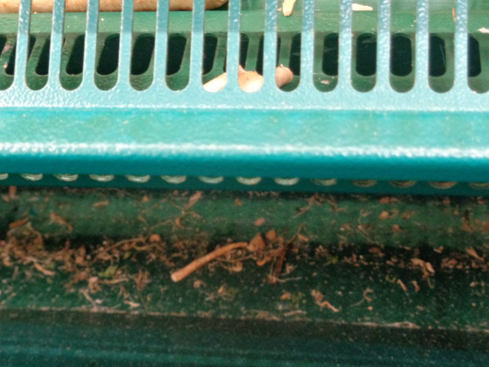 V prevádzke, v otvorených chladiacich zariadeniach určených na čerstvé ovocie a zeleninu, je priestor v prednej časti pod mriežkami znečistený vysušenými a zastaranými zvyškami zeleniny a inými nečistotami. 