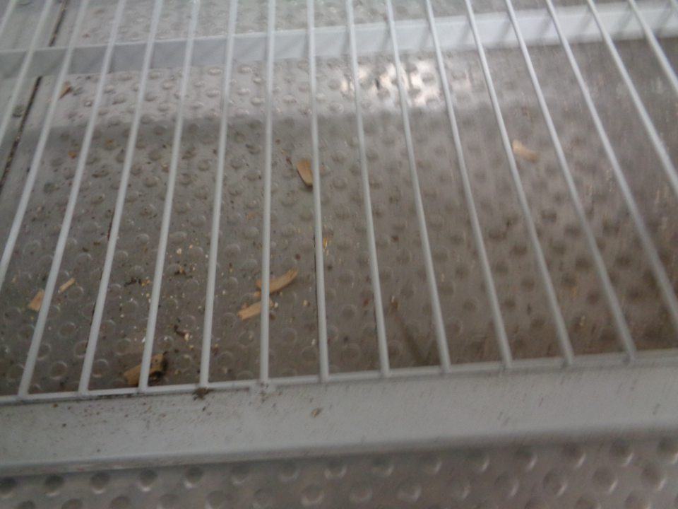 Podlaha v mraziacom boxe hlbokozmrazených polotovarov znečistená zastaranou špinou a prachom.