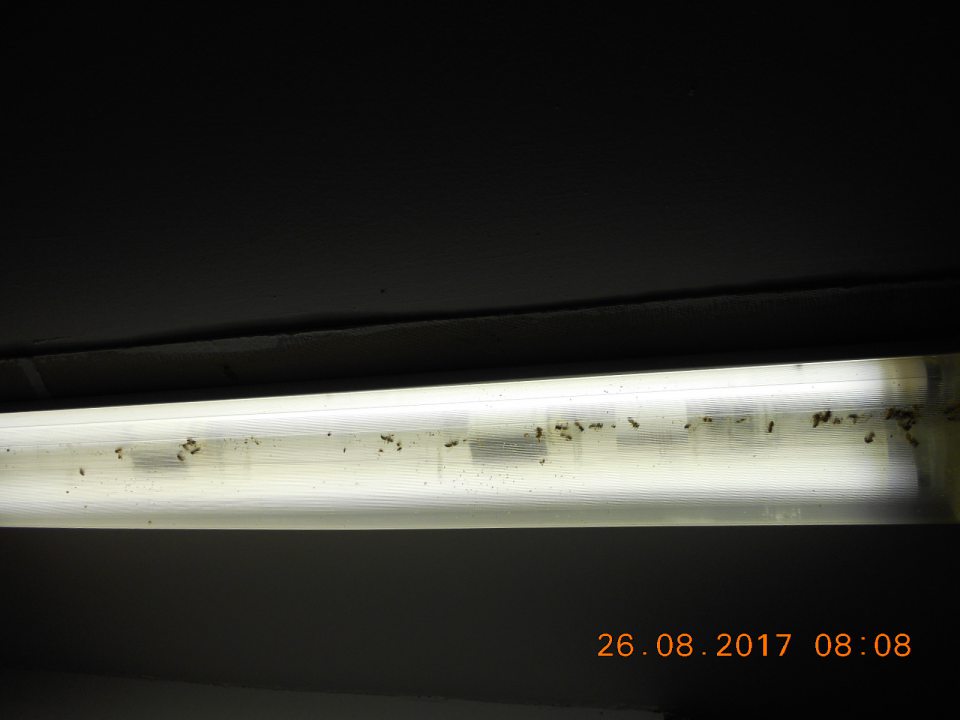 Znečistený kryt osvetľovacieho telesa.