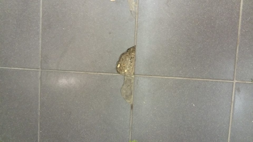 poškodený povrch dlažby v predajni - poškodená, vypadaná dlažba