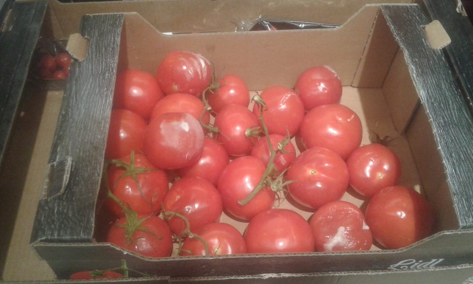 Predaj paradajok so senzorickými zmenami a plesňou - nevhodné na ľudskú spotrebu